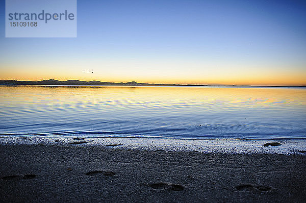 Schönes Licht nach dem Sonnenuntergang  die Catlins  Südinsel  Neuseeland