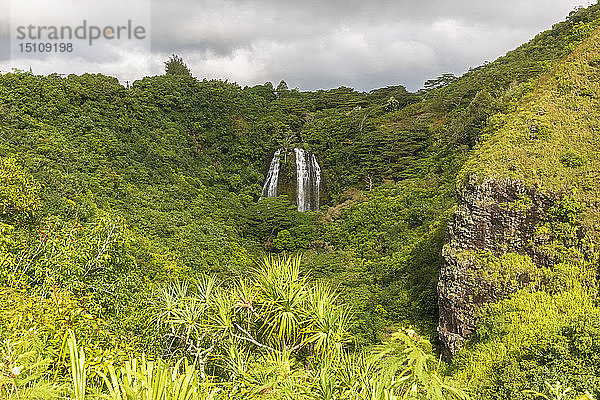 USA  Hawaii  Kauai  Wailua State Park  Opaekaa Falls