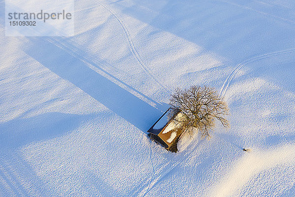 Deutschland  Bayern  Eurasburg  Hütte und Baum im Winter  Luftaufnahme