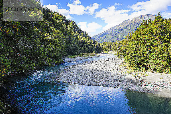 Schöner Fluss Haast  Haast Pass  Südinsel  Neuseeland