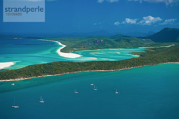 Luftaufnahme von Whitehaven Beach  Whitsunday Islands  Queensland  Australien