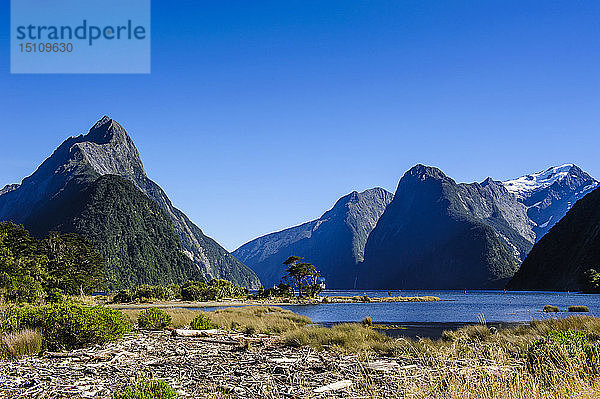 Die steilen Klippen des Milford Sound  Südinsel  Neuseeland