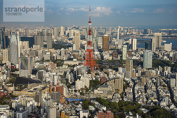 Japan  Tokio  Stadtbild mit Tokio Tower von Roppongi Hills aus gesehen