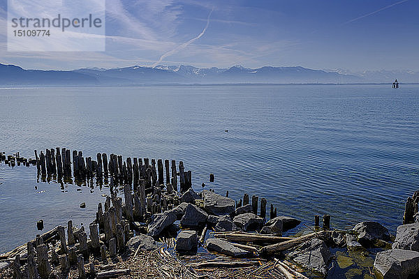 Holzpflöcke am Hafen  Bodensee  Lindau  Bayern  Deutschland