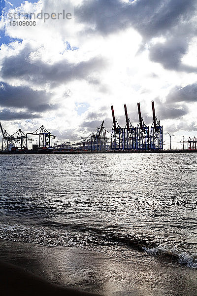 Hafenkräne im Hamburger Hafen  Hamburg  Deutschland