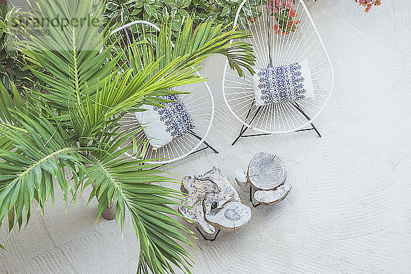 Stühle und Holztische im Freien  die neben einer Palme am Sandstrand stehen