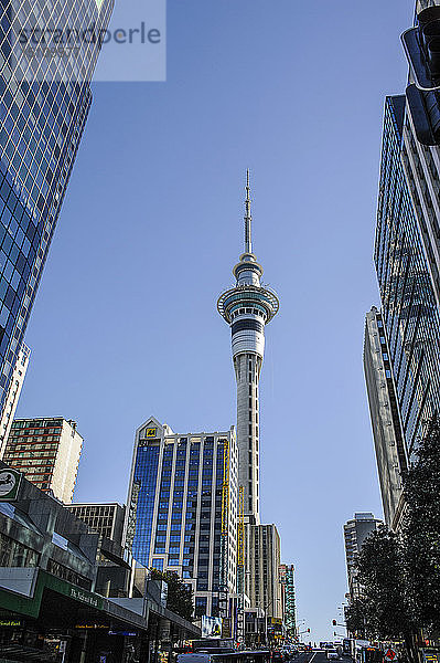 Downtown Auckland mit seinen Hochhäusern  Neuseeland