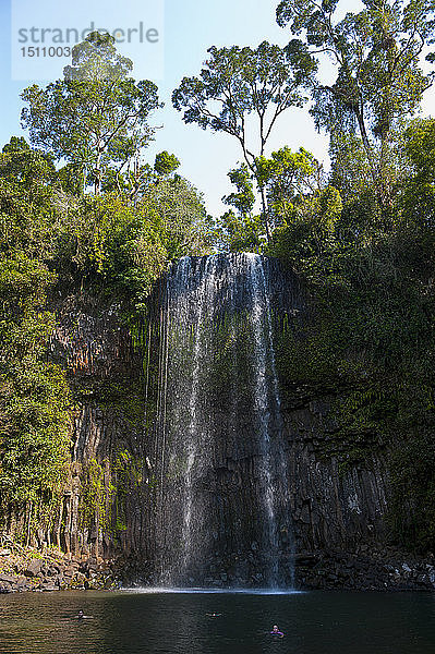 Millaa Millaa Falls  Atherton Tablelands  Queensland  Australien