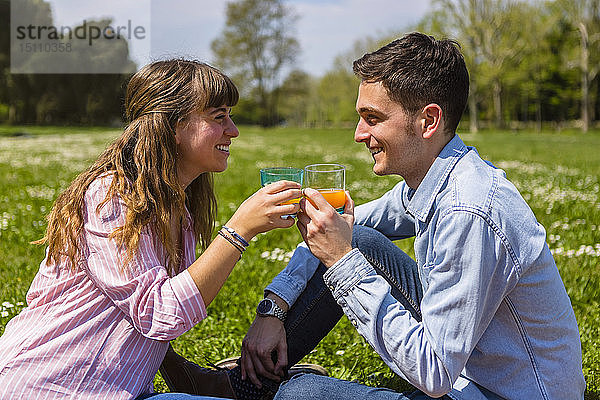 Junges Paar stößt in einem Park mit Fruchtsaft an