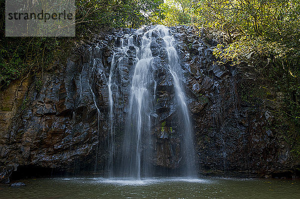 Ellinjaa Falls  Atherton Tablelands  Queensland  Australien