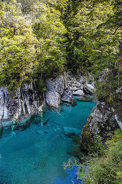 Die atemberaubenden Blue Pools  Haast Pass  Südinsel  Neuseeland