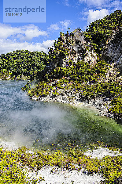 Frying Pan Lake  größte heiße Quelle der Welt  Waimangu-Vulkangraben  Nordinsel  Neuseeland