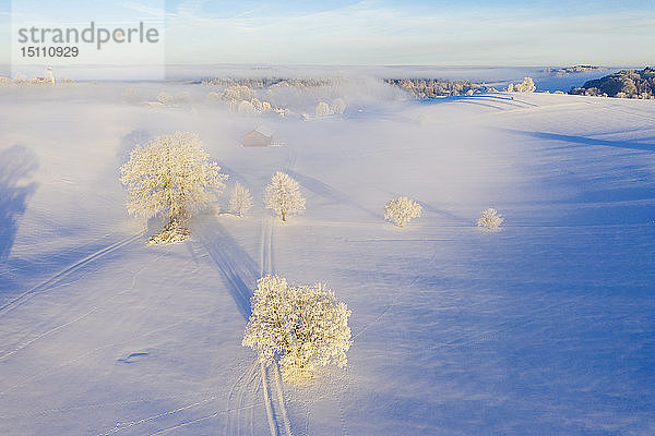 Deutschland  Bayern  Holzhausen bei Muensing  neblige Winterlandschaft bei Sonnenaufgang  Luftaufnahme