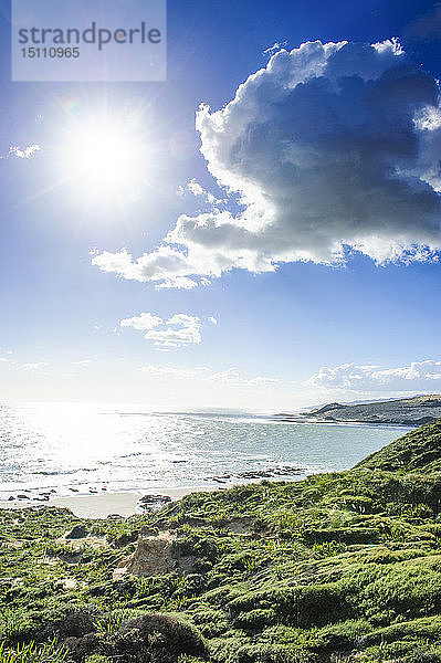 Wunderschöne Küstenlinie im Arai-Te-Uru-Erholungsreservat  Hafen von Hokianga  Westküste Northland  Nordinsel  Neuseeland