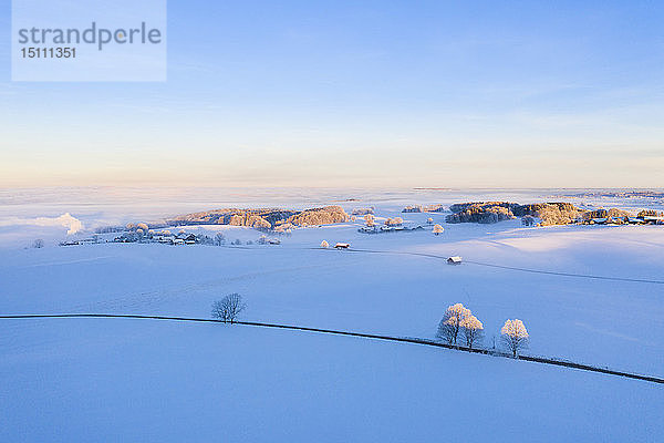 Deutschland  Bayern  Attenkam  Winterlandschaft bei Sonnenaufgang  Luftaufnahme