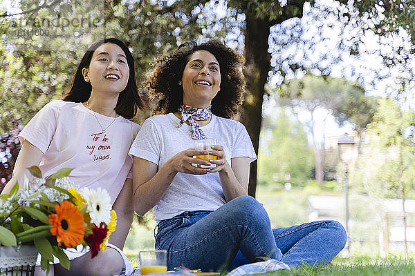 Zwei glückliche Frauen beim Picknick im Park