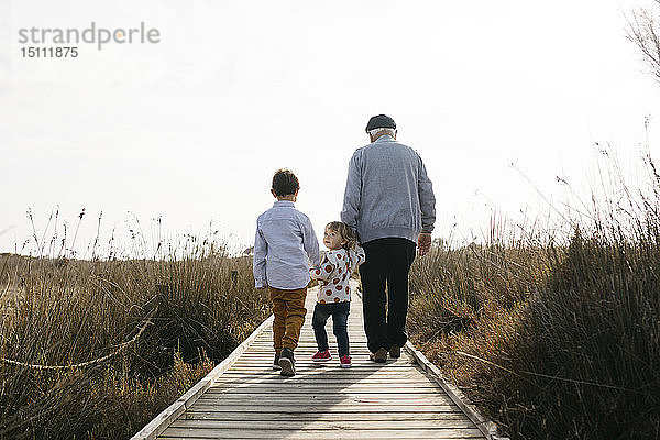 Rückansicht von Großvater und Enkelkindern  die Hand in Hand auf der Strandpromenade spazieren gehen