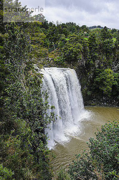 Whangarei Falls  Nordinsel  Neuseeland