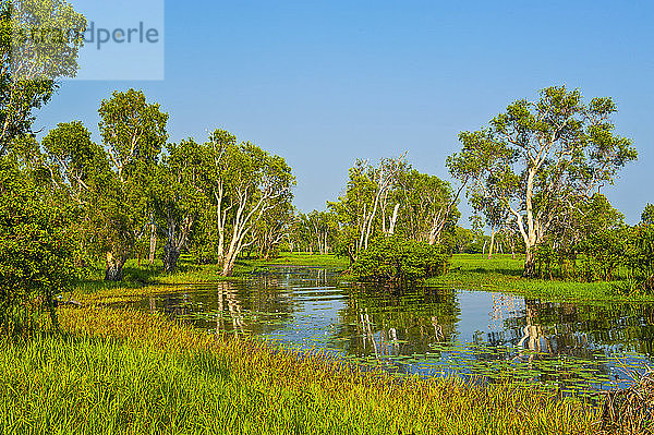 Fluss im Kakadu-Nationalpark  nördliches Territorium  Australien