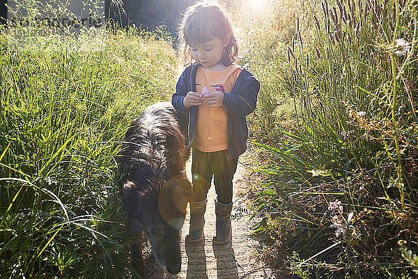 Kleinkind Mädchen geht mit Hund in der Natur spazieren
