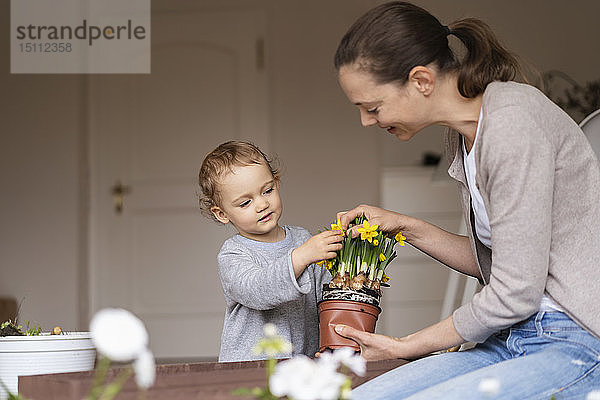 Mutter und Tochter pflanzen gemeinsam Blumen auf dem Balkon