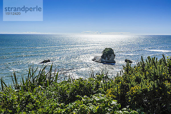 Felsvorsprünge im Ozean entlang der Straße zwischen Greymouth und Westport  Südinsel  Neuseeland