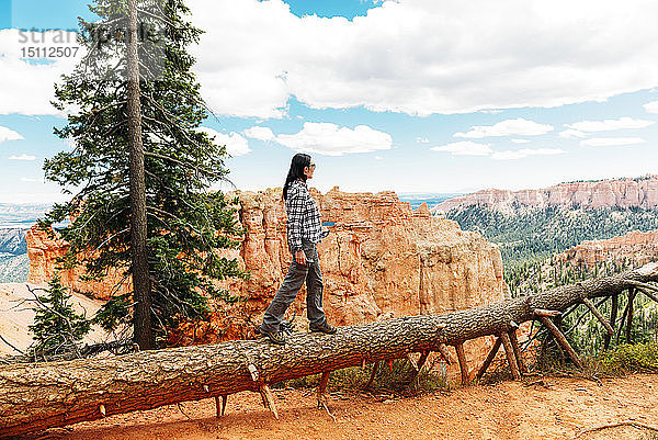 Reisende Frau  die auf dem Stamm eines umgefallenen Baumes geht und die Aussicht im Bryce Canyon  Utah  USA  genießt