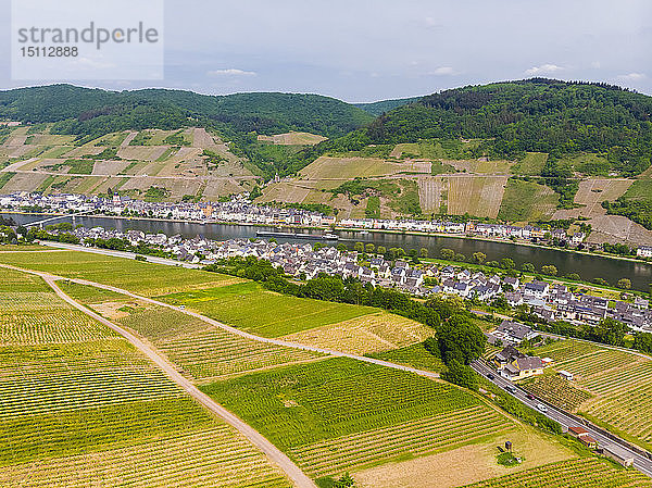 Deutschland  Rheinland-Pfalz  Zell an der Mosel  Weinberge