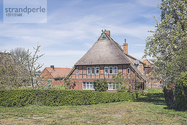 Reetdachhaus  Konau  Niedersachsen  Deutschland