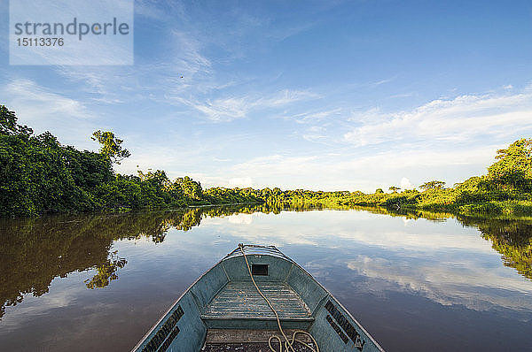 Front eines Bootes auf einem Fluss  Pantanal  Brasilien