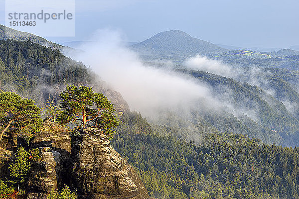 Deutschland  Sachsen  Elbsandsteingebirge  Blick vom Aussichtspunkt Schrammsteine auf das Elbtal