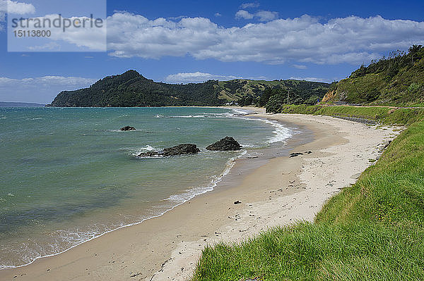 Einsamer Strand an der Küstenlinie von Northern Coromandel  Nordinsel  Neuseeland