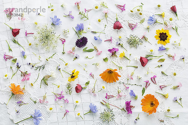 Blüten von Sommerblumen auf weißer Tischdecke