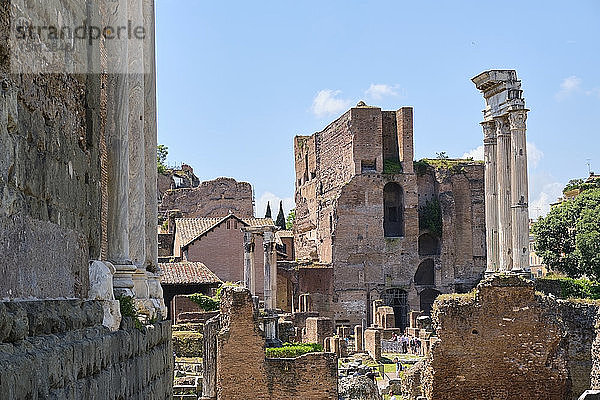 Forum Romanum  Rom  Italien