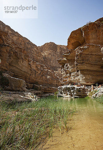 Menschen schwimmen im Wadi Shab  Oman