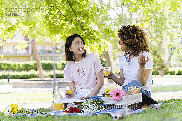 Zwei glückliche Frauen beim Picknick im Park