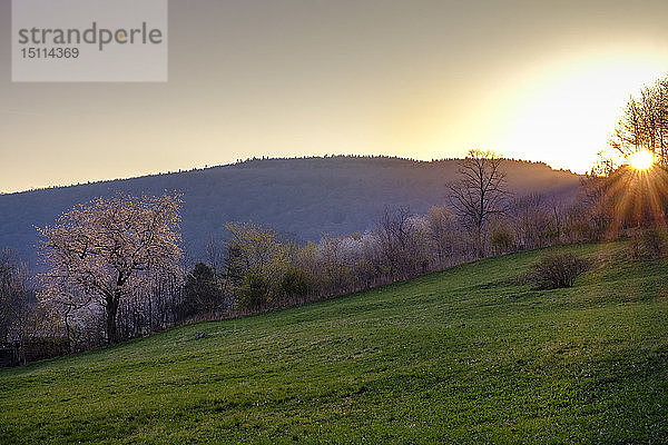 Sonnenaufgang  Ehrenberg  Rhön  Deutschland