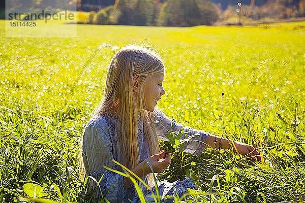 Mädchen sitzt mit Pusteblume auf dem Feld