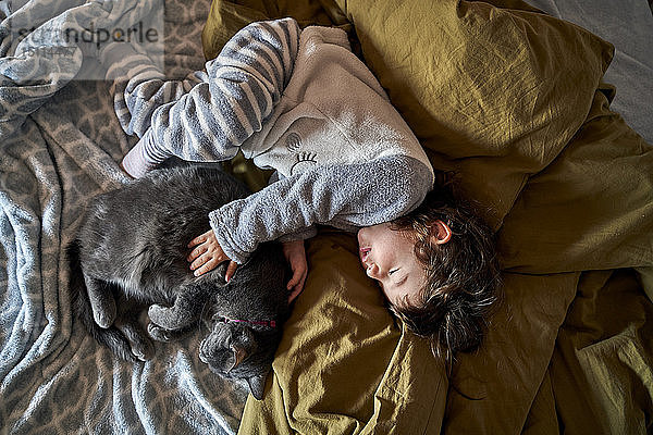 Kleinkind Mädchen und graue Katze schlafen auf Bett  Draufsicht