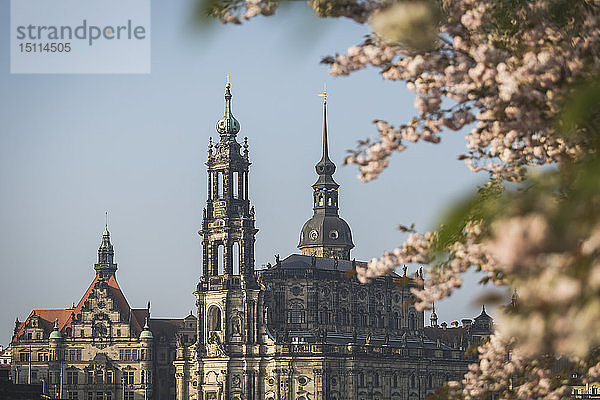 Deutschland  Sachsen  Dresden  Dresdner Dom und Mandelblüten