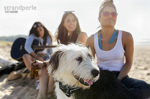 Drei Frauen mit Hund und Gitarre am Strand