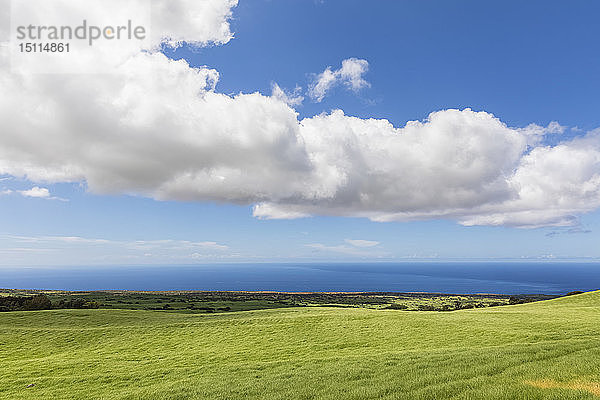 USA  Hawaii  Big Island  Blick über den Kohala-Berg