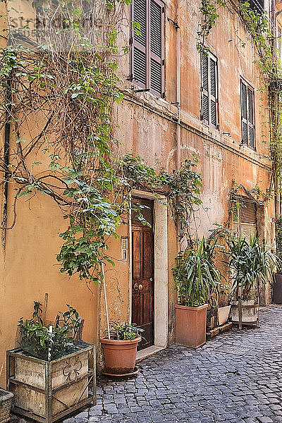 Fassade eines Hauses  Trastevere  Rom  Italien