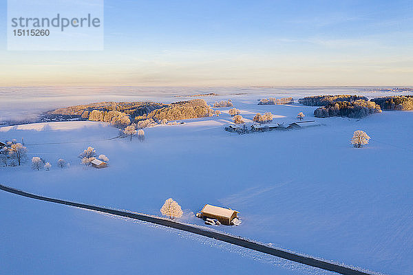 Deutschland  Bayern  bei MÃ¼nsing  Winterlandschaft bei Sonnenaufgang  Luftaufnahme