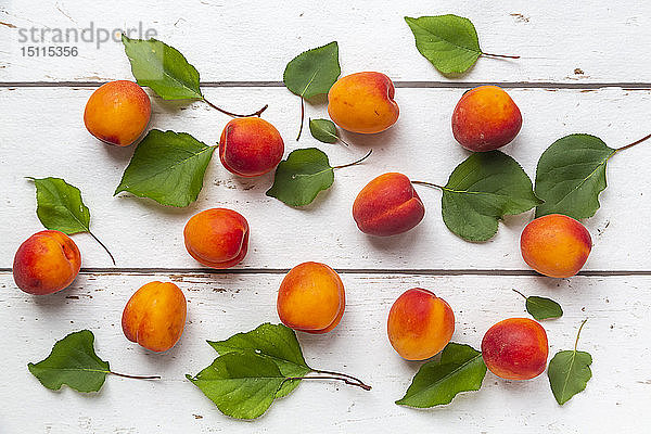 Aprikosen auf weißem Holz