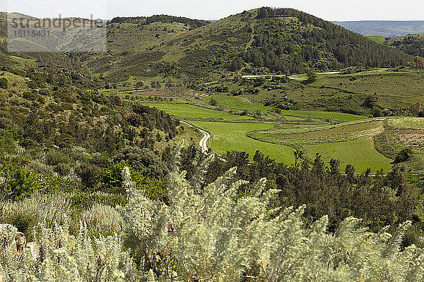 Italien  Sardinien  Blick über die Landschaft bei Pompu