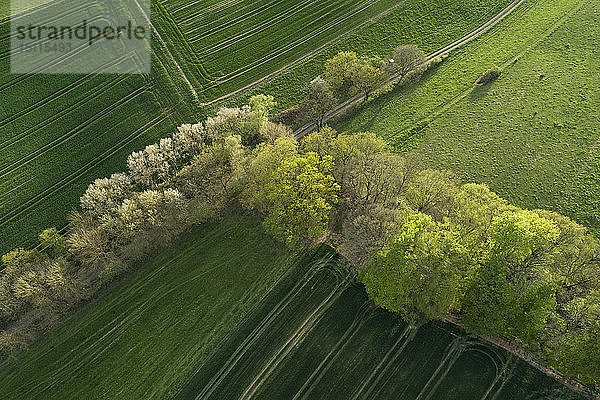Abstraktes Luftbild einer ländlichen Landschaft mit landwirtschaftlichen Feldern  Wiesen und Bäumen  Frühling  Franken  Bayern  Deutschland
