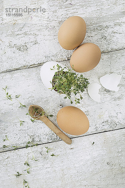 Kresse in der Eierschale  drei braune Eier und Holzlöffel auf Holz