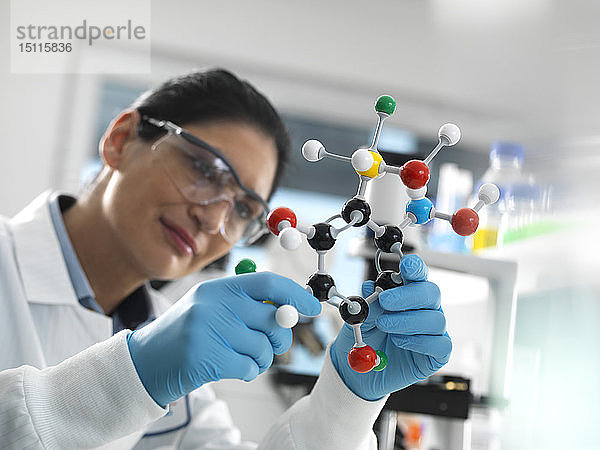Biotech-Forschung  Wissenschaftlerin  die während eines Experiments ein molekulares Kugel-Stab-Modell einer chemischen Formel untersucht