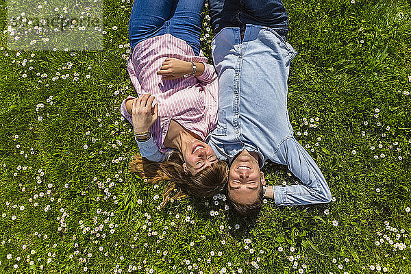 Glückliches junges Paar entspannt auf Gras in einem Park  Blick von oben